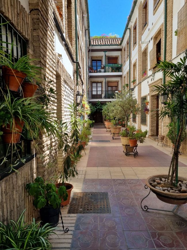 Courtyards in Córdoba.