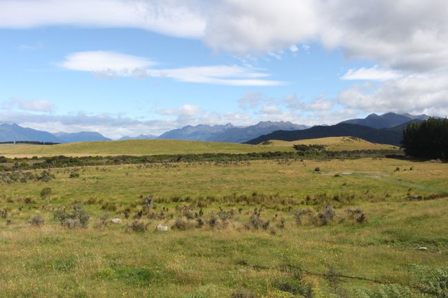 Lord of the Rings filming location 'Dead Marshes' - on the outskirts of Te Anau