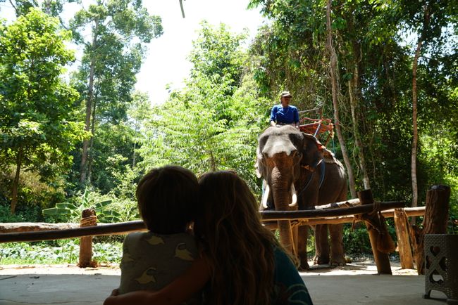 Thailand - Elephant Riding & 7 Islands Tour in Krabi