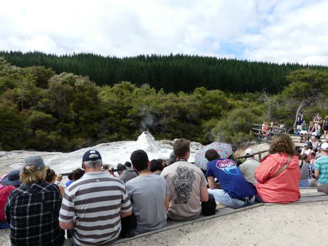 Waiting for the eruption of Lady Knox Geyser