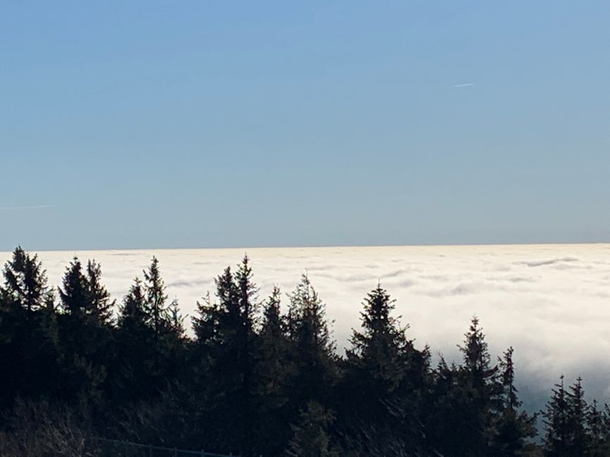 Blick auf den Nebelschleier im Tal