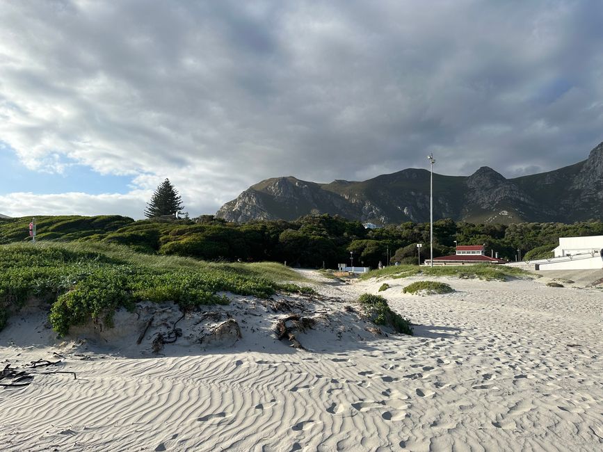 Hermanus ♥️