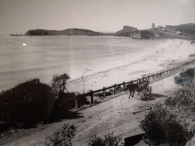 Terrigal Beach vor ein paar Jahren 
