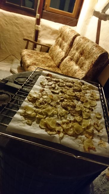 self-made chips