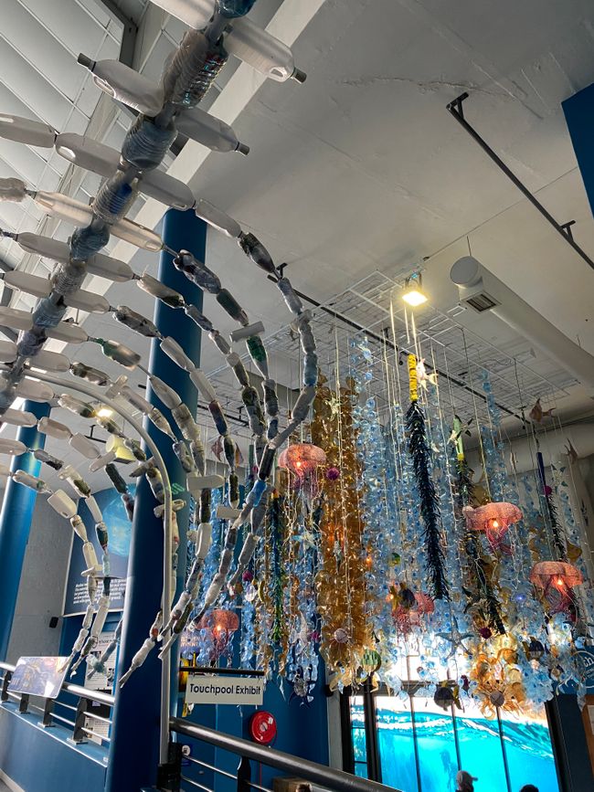 The Two Oceans Aquarium also educates visitors about ocean pollution and promotes its own organizations for the rescue of the oceans and animals.