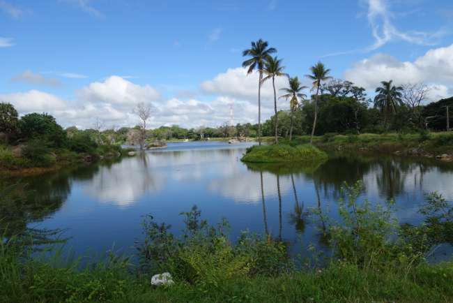 Sigiriya - dambulla - matale - kandy