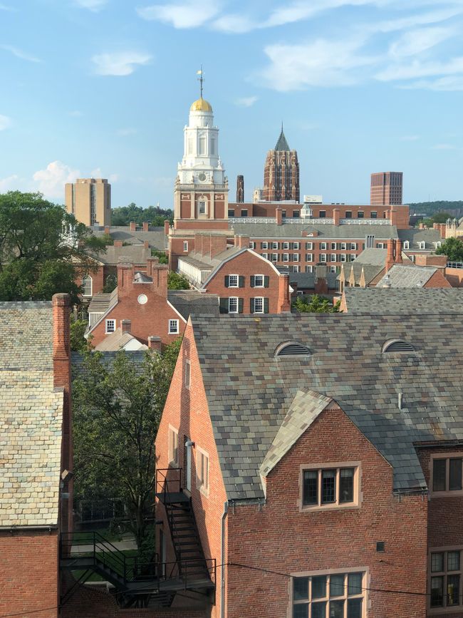 New Haven (Universitat de Yale)