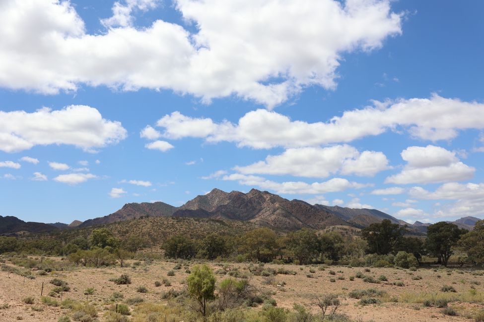 Ikara Flinders Range Views