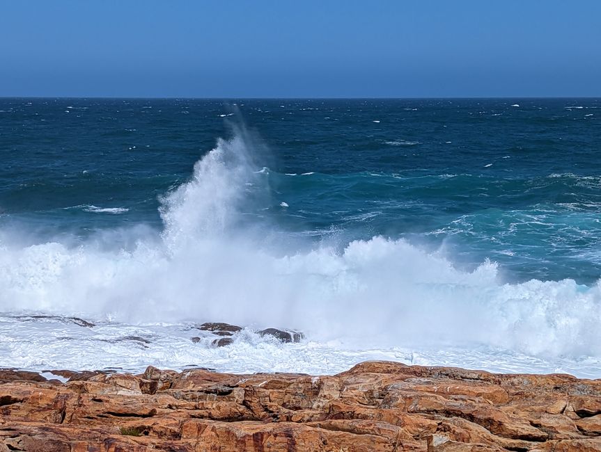 Plettenberg Bay/Robberg Nature Reserve