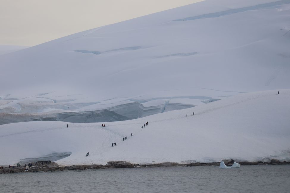 Cesta do Antarktídy alebo pokus o vykúpenie...a ešte trochu na koniec sveta Ushuaia-Antarctica-Ushuaia