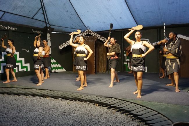 Einblicke in die Maori-Kultur 