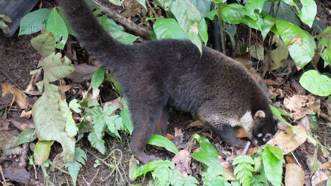 Costa Rica 