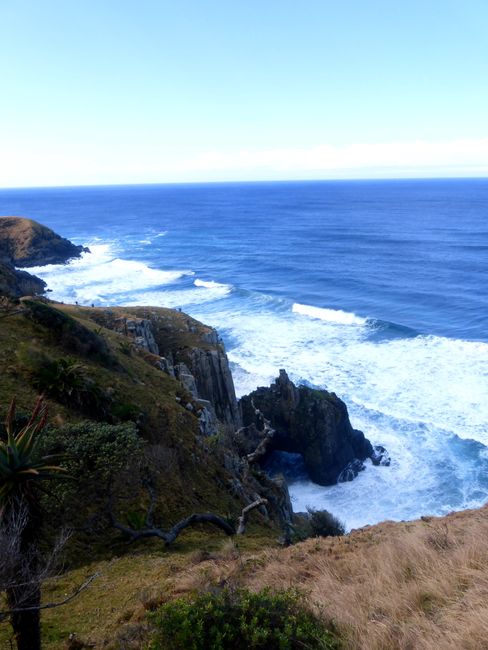 Everything a bit wilder - The Wild Coast of South Africa