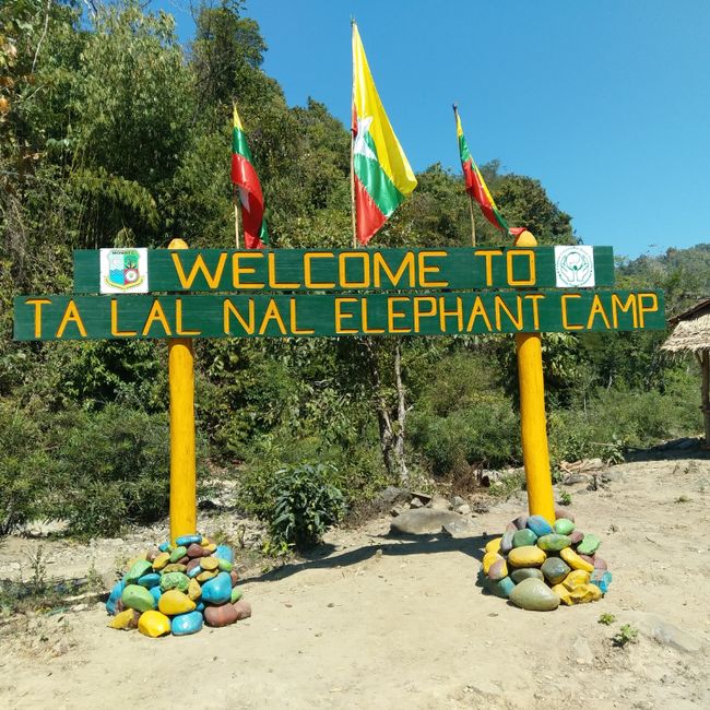 Ta Lal Elephant Camp