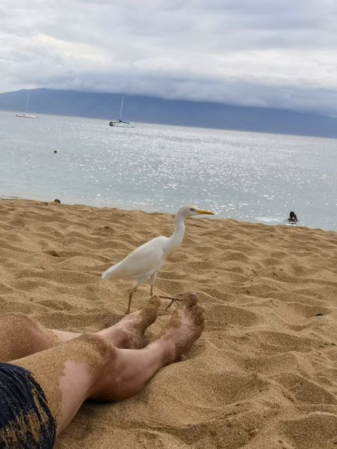 Kahekili Beach - West Coast Maui