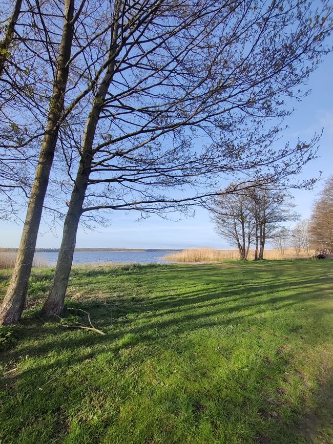 lake near Łeba