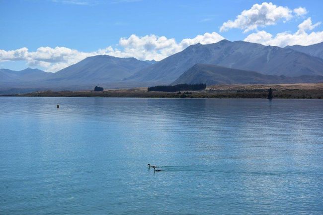 Christchurch - Lake Tekapo