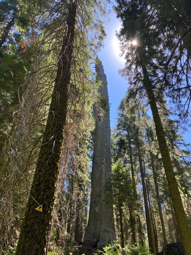 High Sierra Trail Day 1