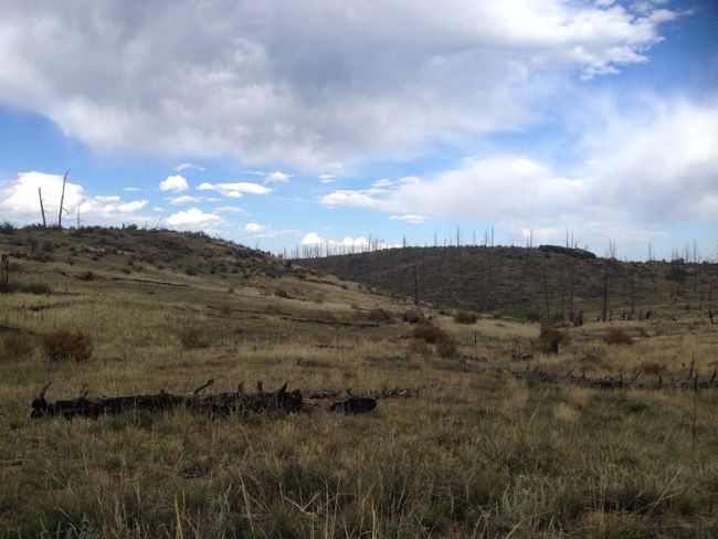 Randonnée Ouest : Colorado Trail