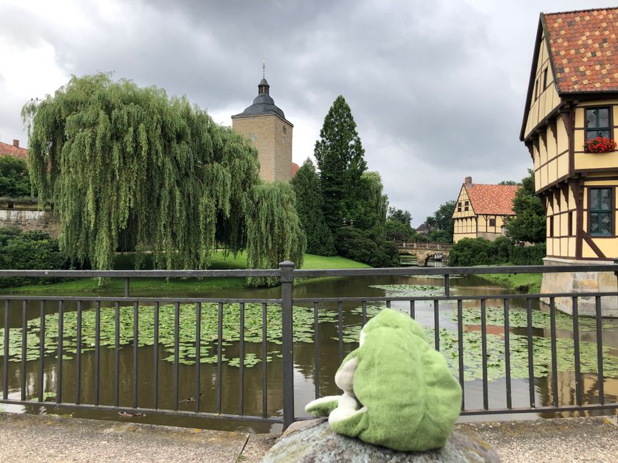 Being a castle frog?