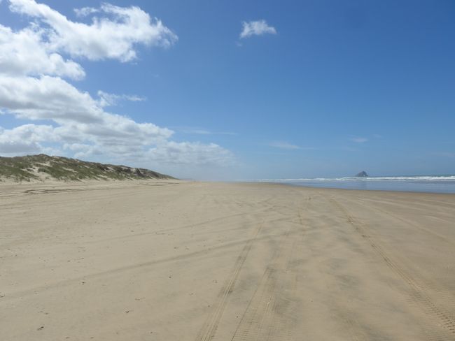 90 Mile Beach und Cape Reinga (Neuseeland Teil 12)