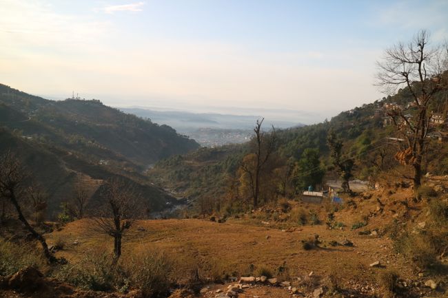 Dharamsala - McLeod Ganj - Himachal Pradesh