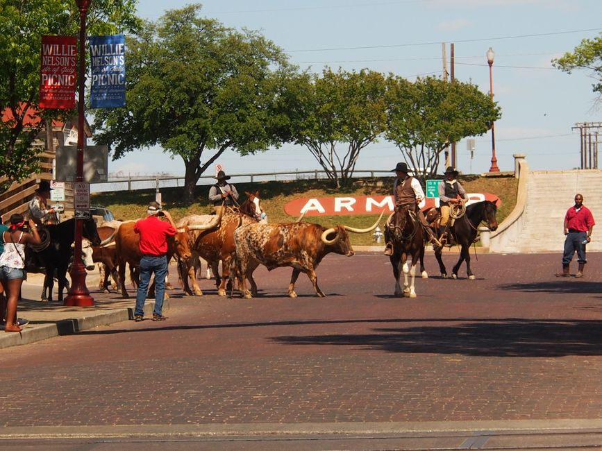 Fort Worth & Rodeo