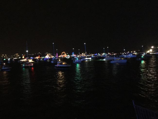 Chapter 4: Sydney, New Year's Eve, and Family Time