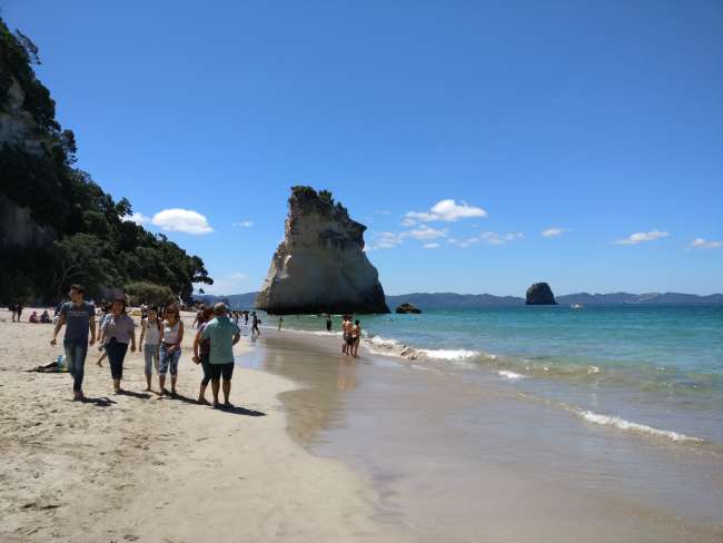 Cathedral Cove 5