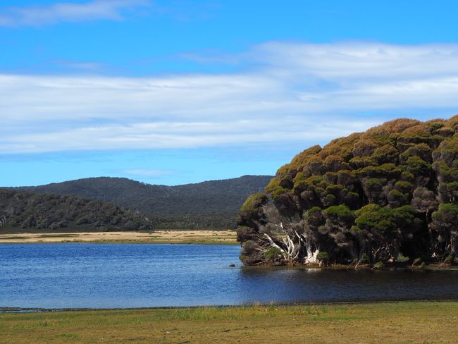 Narawntapu - die Lagune