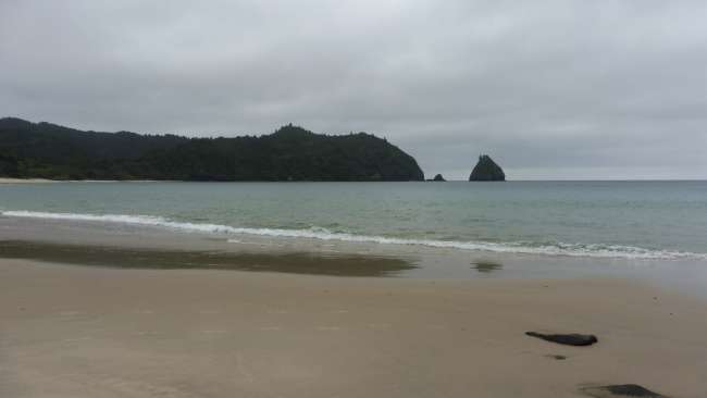 Do you think you can handle the Coromandel