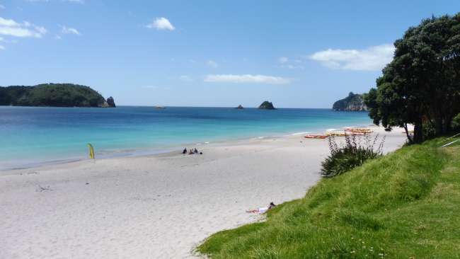 Do you think you can handle the Coromandel