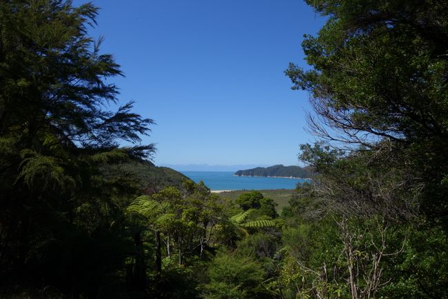 Tag 11 • Abel Tasman Nationalpark