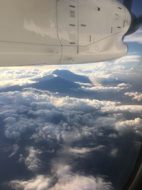 Sicht auf Kilimandscharo