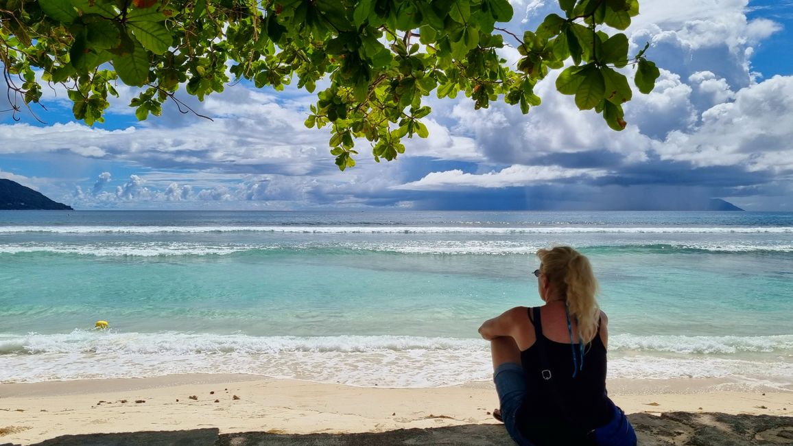 Seychelles 2023 - Parte: 3 Mahé