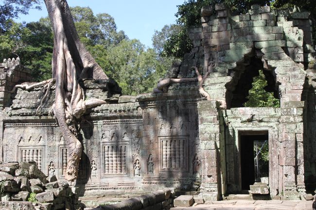 Tempels and trees in Ta Promh at Angkor Wat