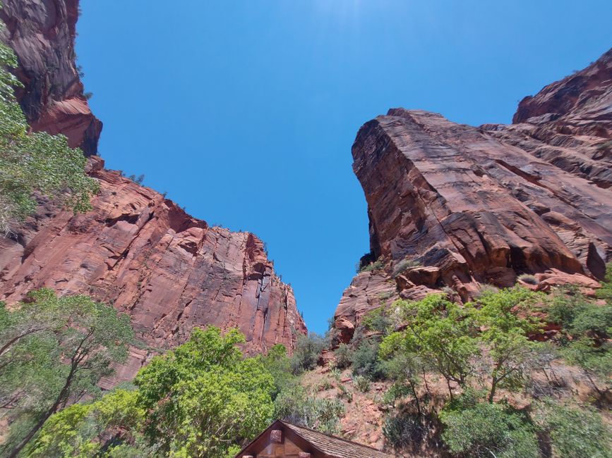 Day 12: Zion National Park