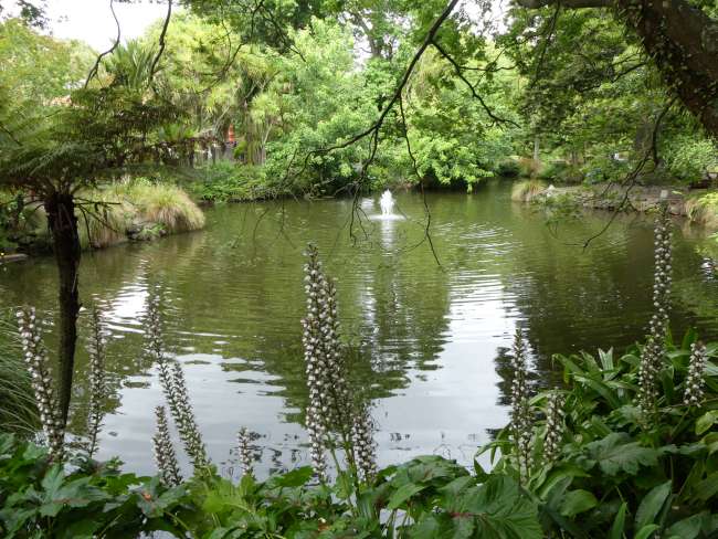 Hübscher Teich mit Springbrunnen