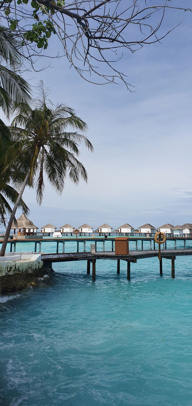 Day 4 in the Maldives - Good Morning Sunshine ☀️