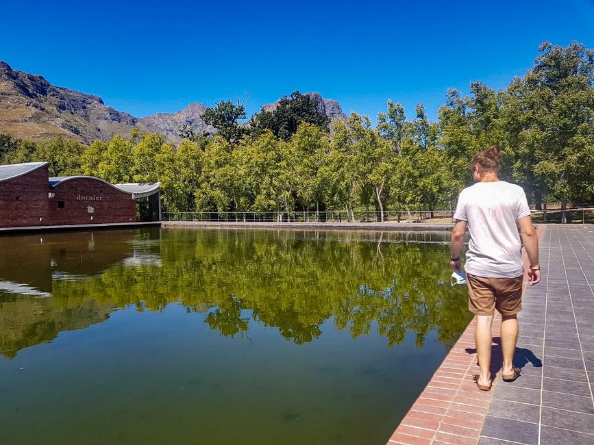 Valentine's Day picnic at Spier Wine Estate