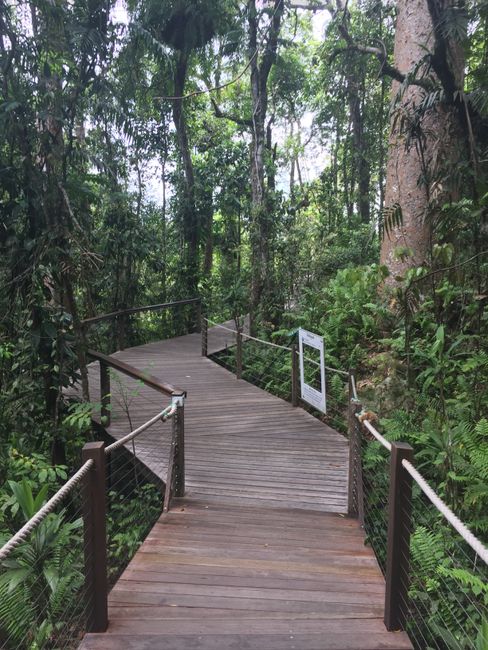 Cairns bis Brisbane - man ist das hübsch!