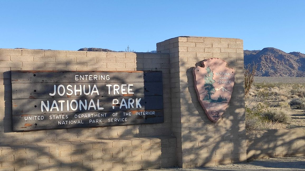 Joshua Tree, Amboy, Kelso (California)