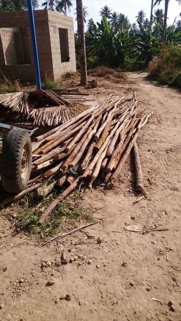 Delivery of wooden rods for the next construction phase
