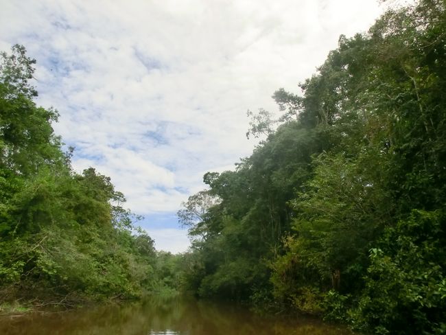 درباره Iquitos and the Jungle - 5 Tage im Regenwald