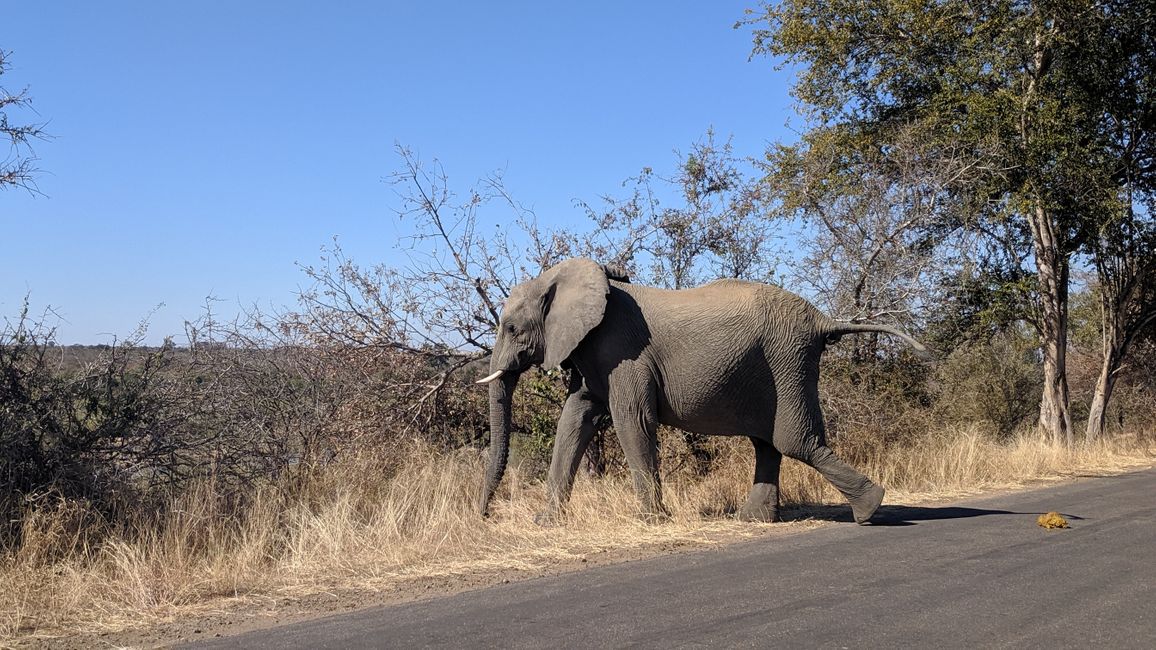 Dag 15: Fra Kruger NP til Marloth Park