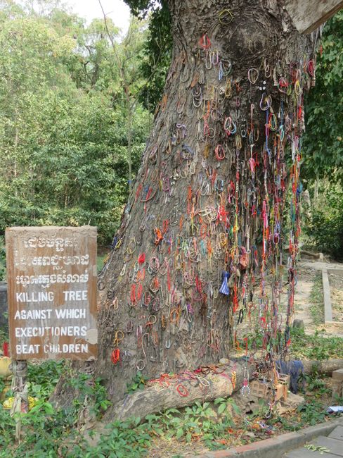 Memorial tree for baby murders