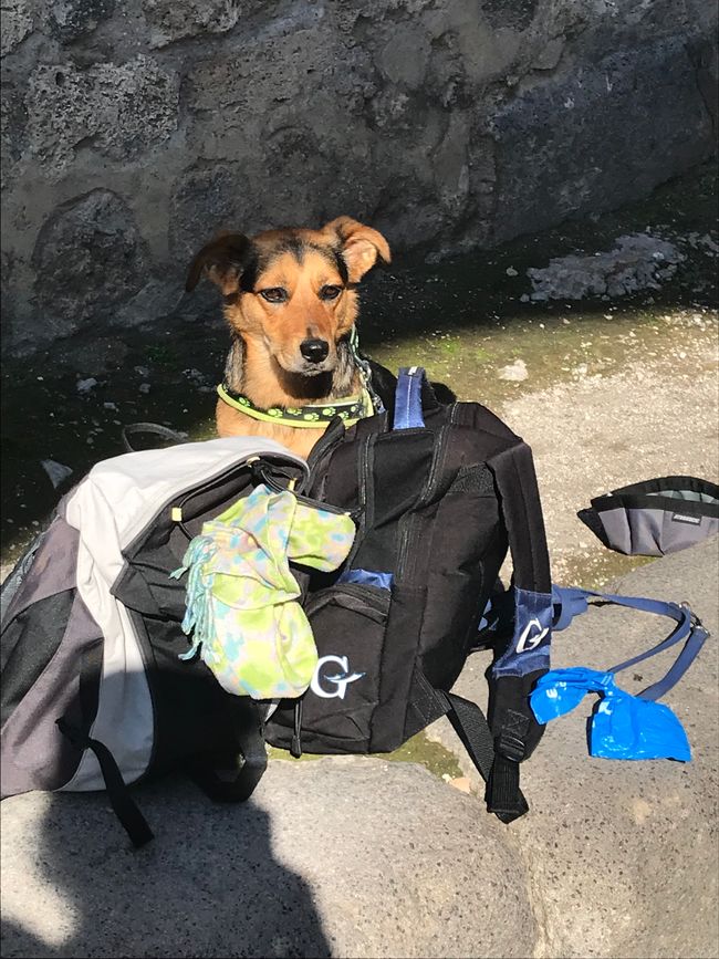 Mit dem WoMo durch Italien, Westküste und Sizilien
