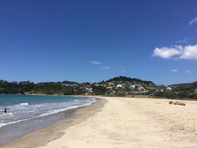 Family time Part 2 and the North Island of New Zealand