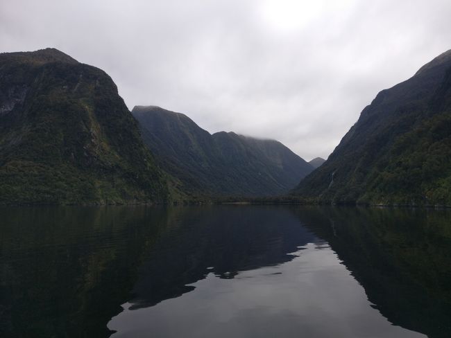 Day 15 - Sounds of the Fjords: The Doubtful Sound