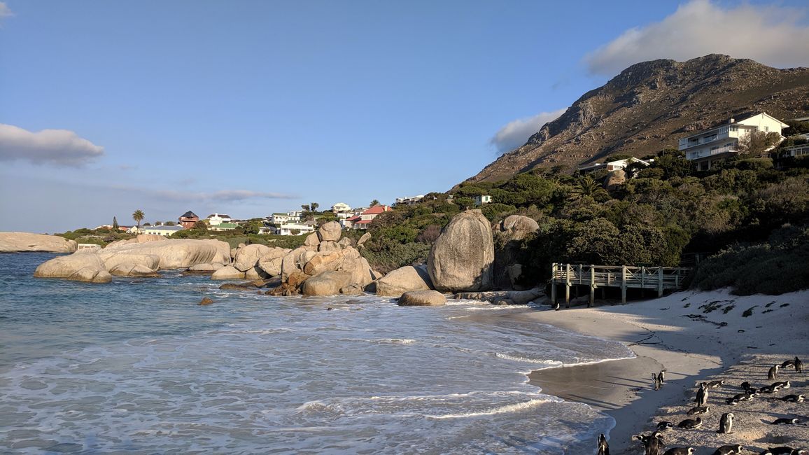 Letsatsi 19: Cape Town! Tafole Mountain, Beach & Penguin